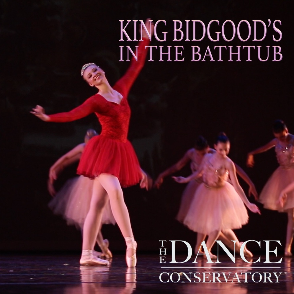 Bidgood's in the Bathtub Concert Video 2016