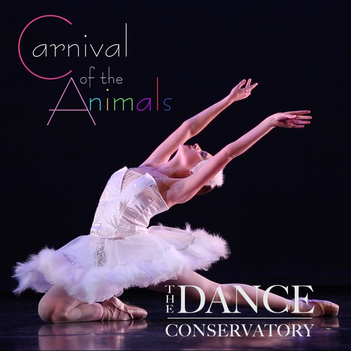 Carnival of the Animals Dance Video 2014