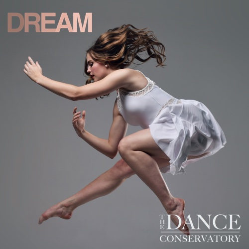 TDC Dream Concert Video 2019